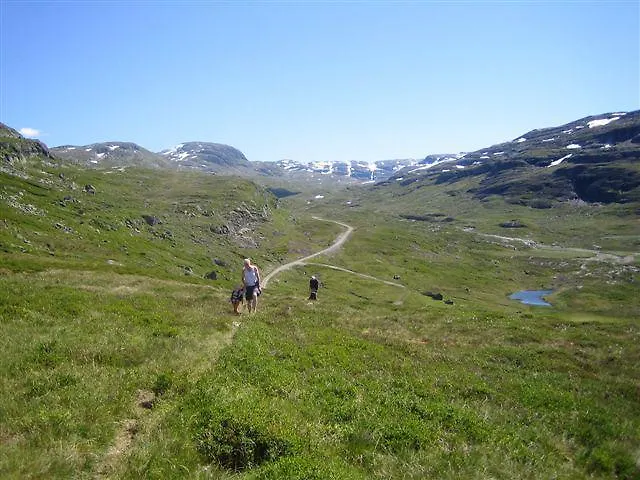 Seim - Røldal